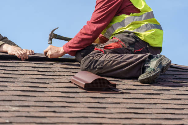 Best Roof Leak Repair  in Park View, IA
