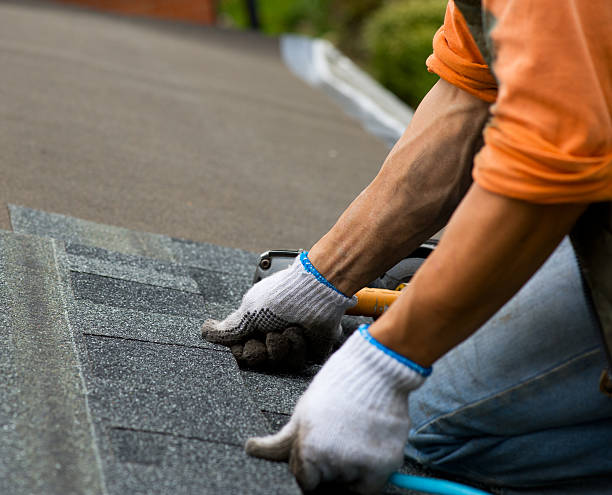 Best Commercial Roof Installation  in Park View, IA