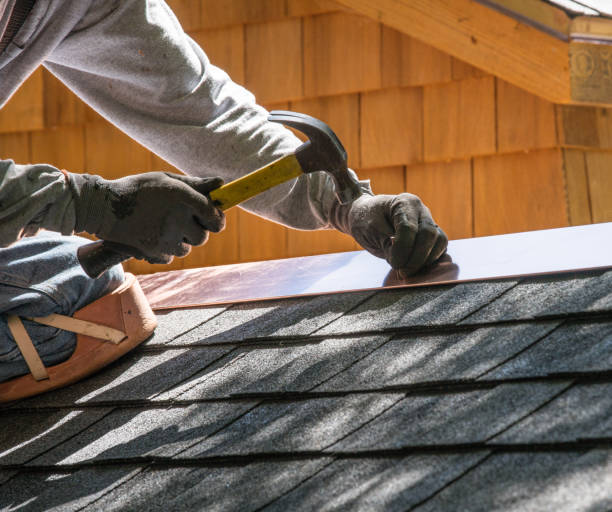 Best Local Roofing Companies  in Park View, IA